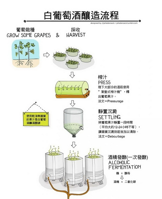 白葡萄酒的酿造流程