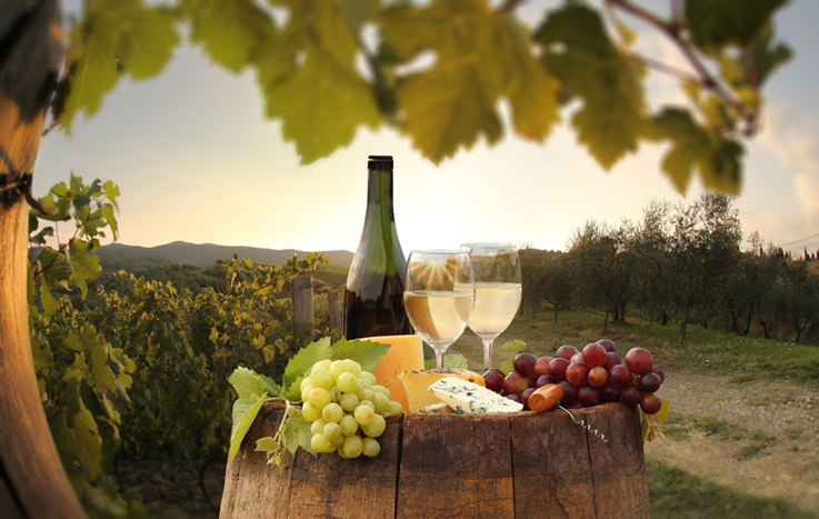 怎么经营红酒专卖店才成功?