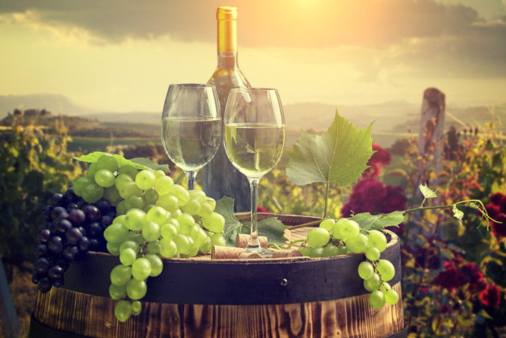 做红酒代理生意要怎么做好?